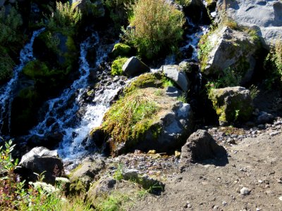 Truman / Loowit Trail at Mt. St. Helens NM in WA