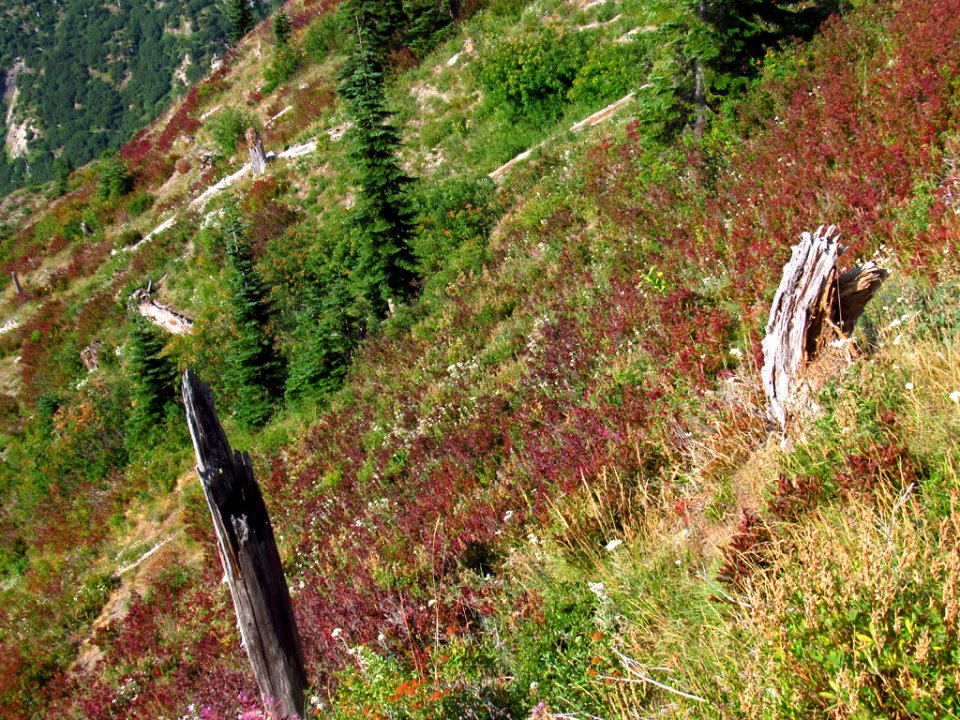 Mt. Margaret Backcountry in Washington