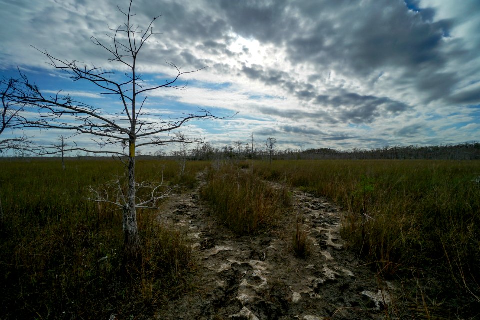 Gator Hook Trail Head