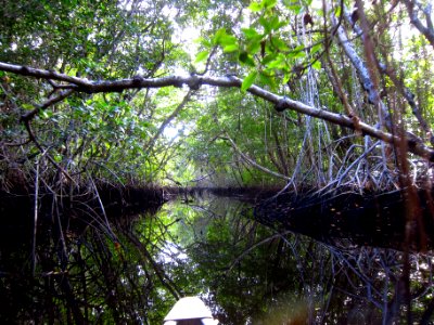Halfway Creek Loop