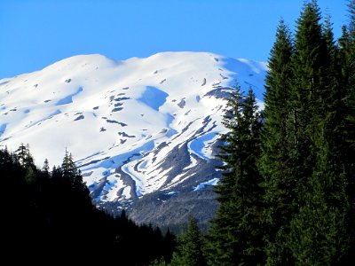 Mt. St. Helens at Lava Canyon in Washington