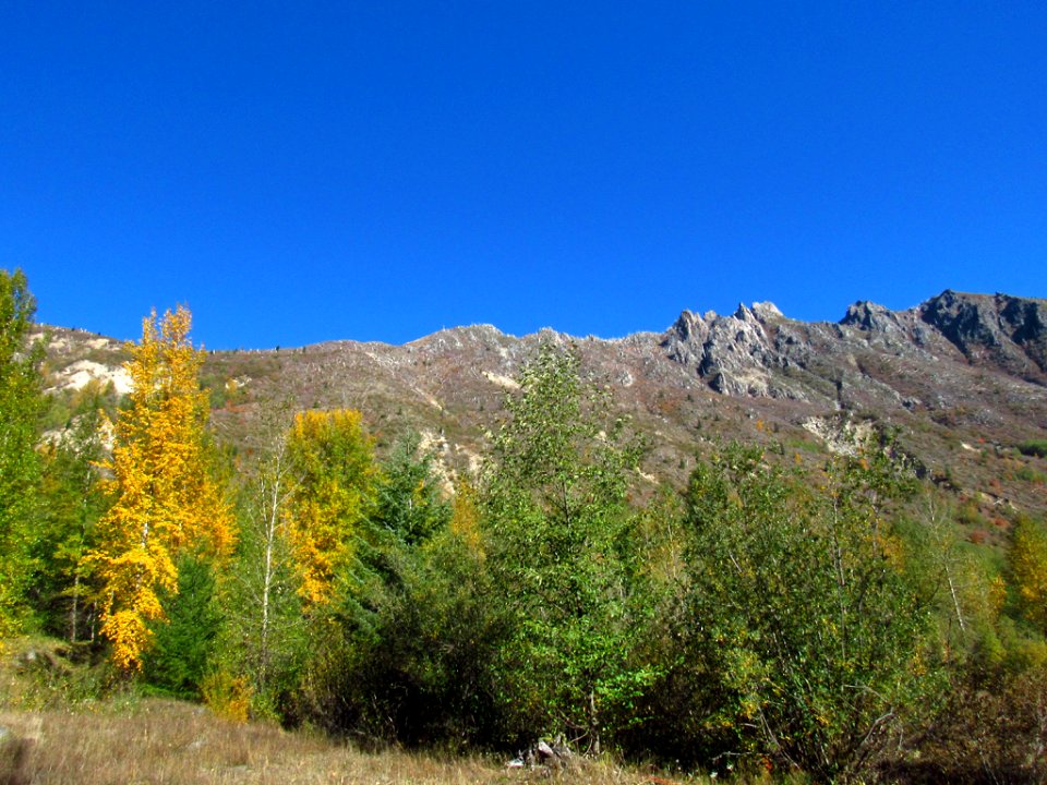 Coldwater Lake Trail at Mt. St. Helens