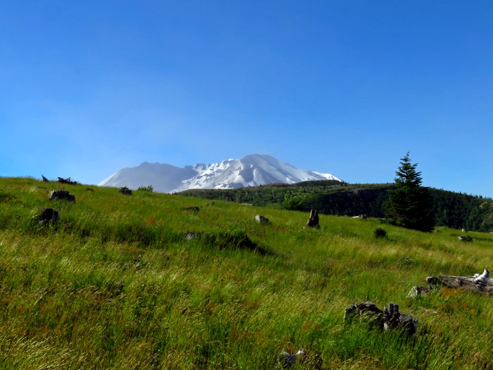Coldwater Lake Trail at Mt. St. Helens NM in Washington