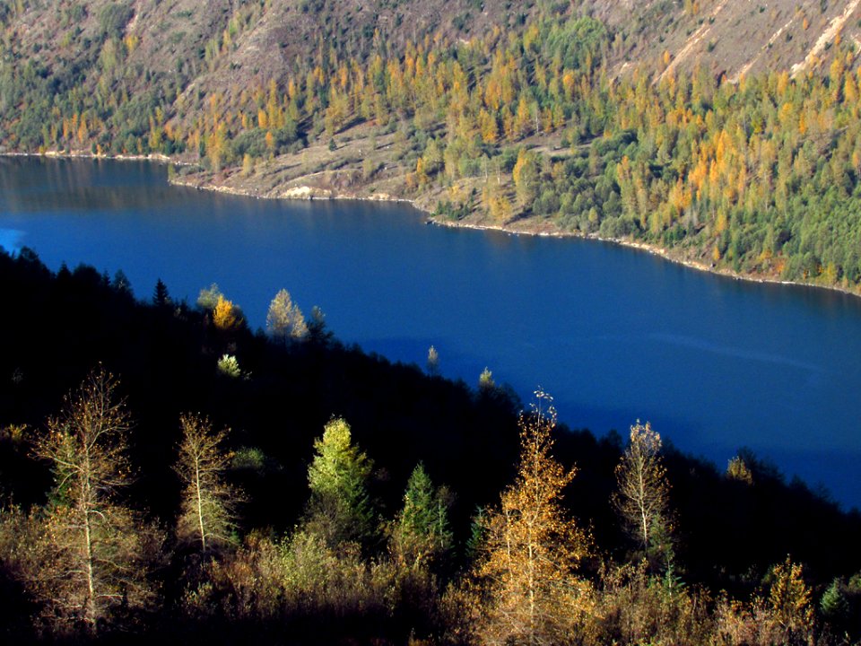 Coldwater Lake Trail at Mt. St. Helens