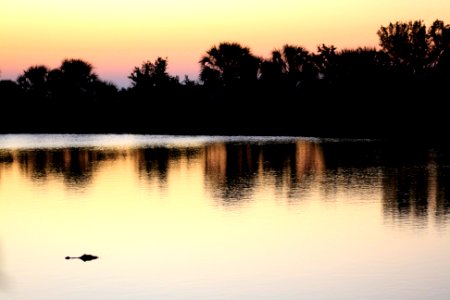 Ochopee Pond photo