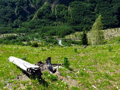 Coldwater Lake Trail at Mt. St. Helens NM in Washington