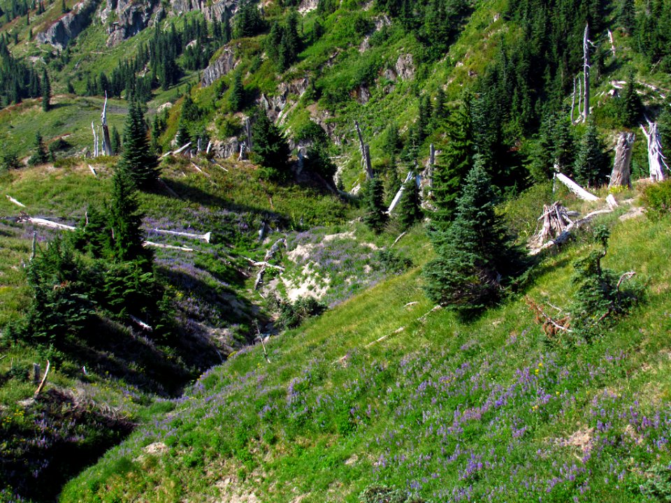 Mt. Margaret Backcountry in Washington