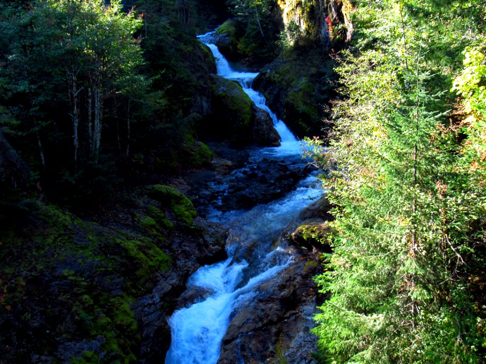 Lava Canyon Trail at Mt. St. Helens