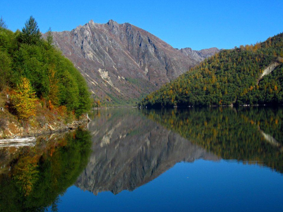 Coldwater Lake Trail at Mt. St. Helens