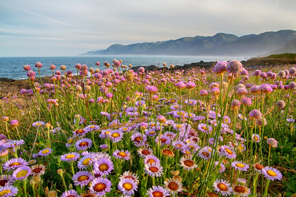 King Range National Conservation Area