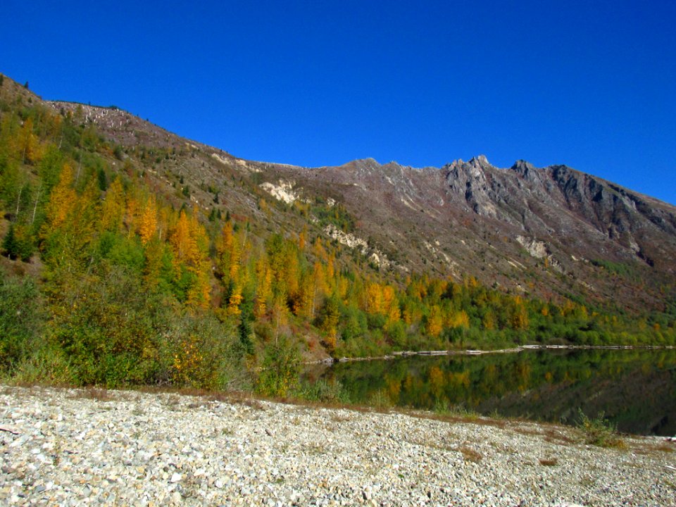 Coldwater Lake Trail at Mt. St. Helens