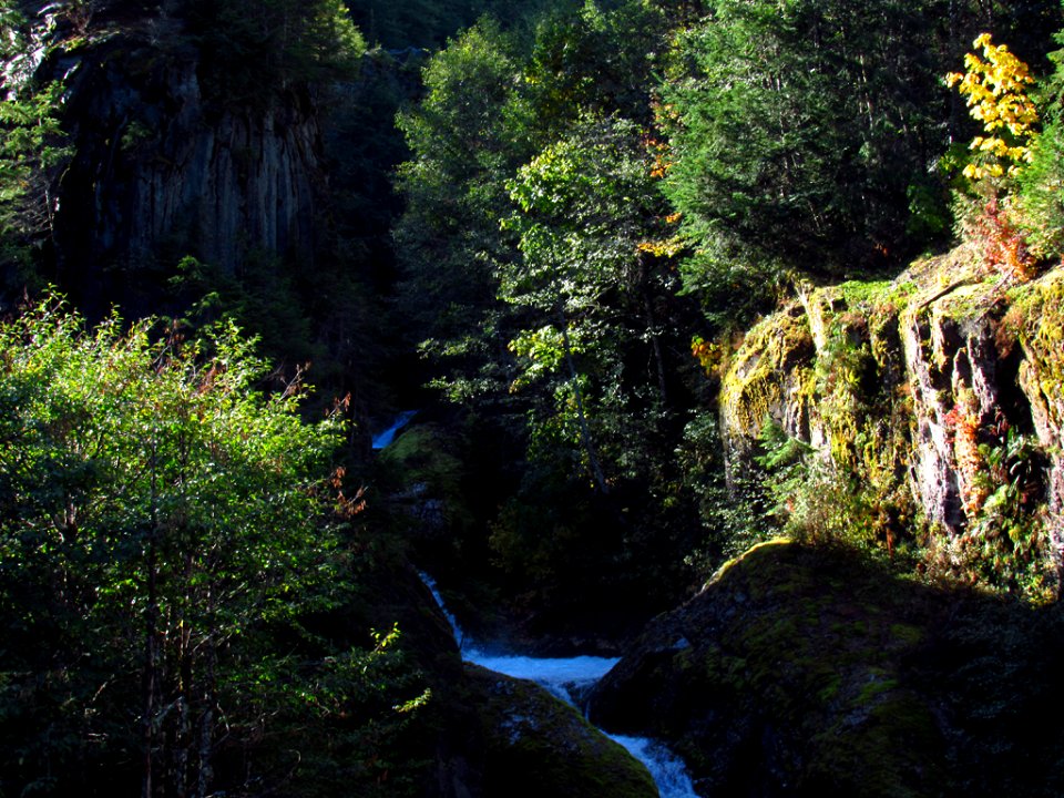 Lava Canyon Trail at Mt. St. Helens