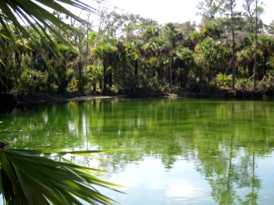 Borrow Pond along Bear Island Grade
