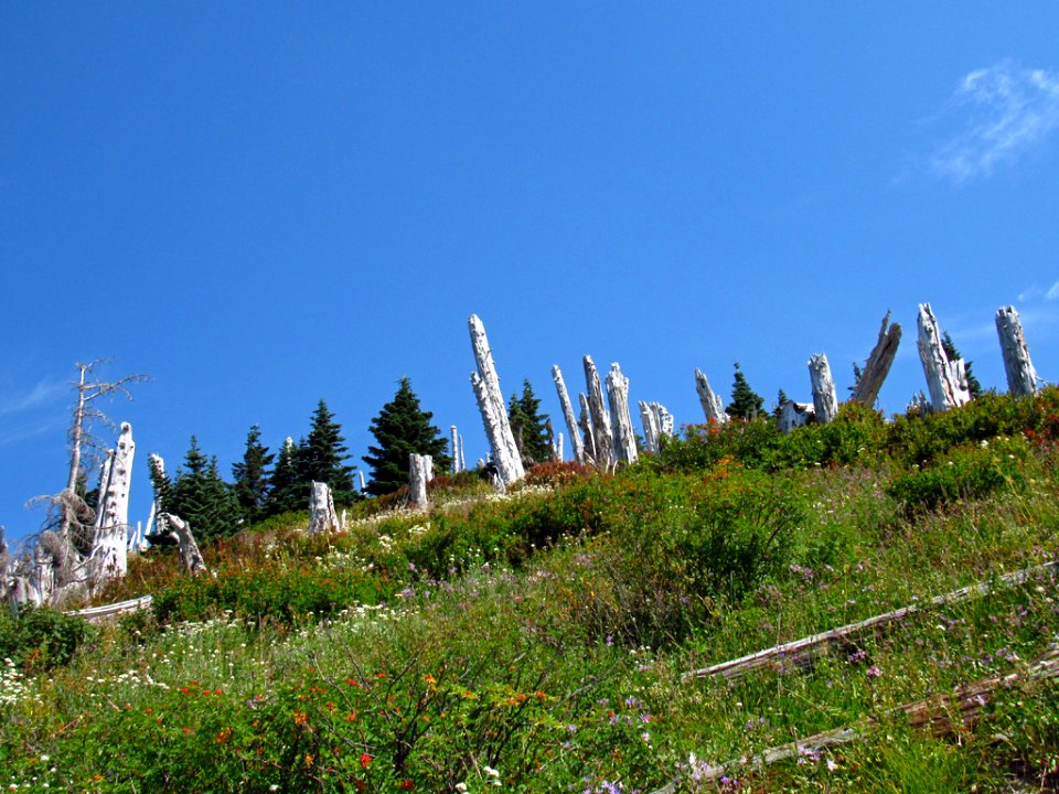 Mt. Margaret Backcountry in Washington