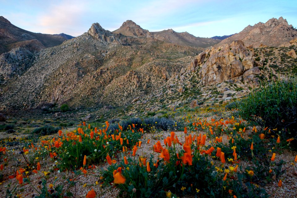 Owens Peak Wilderness