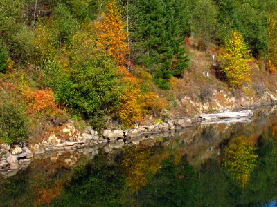 Coldwater Lake Trail at Mt. St. Helens photo