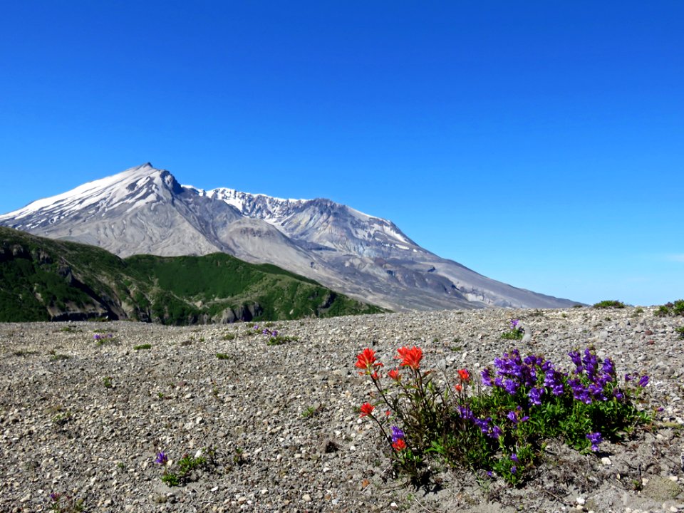 Windy Ridge at Mt. St. Helens NM in Washington