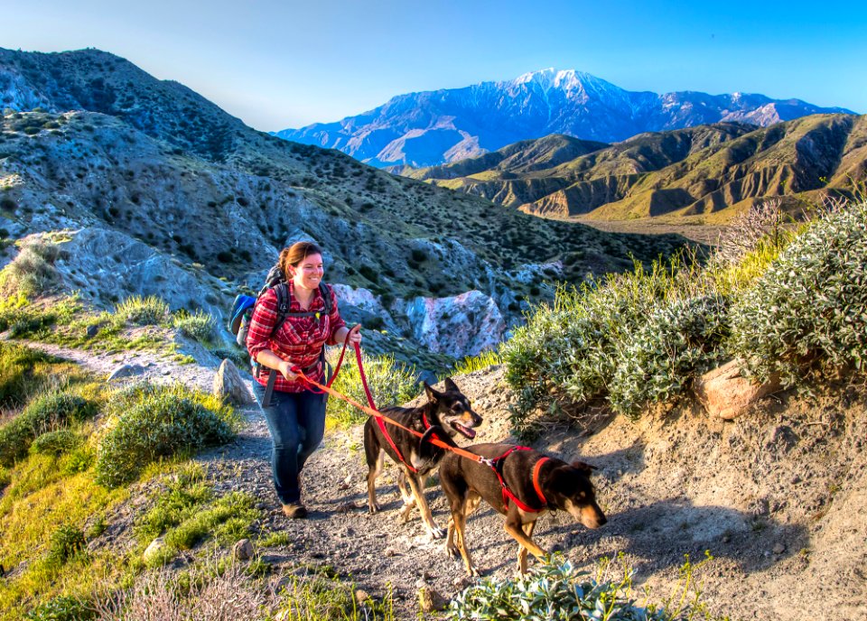 Pacific Crest Trail