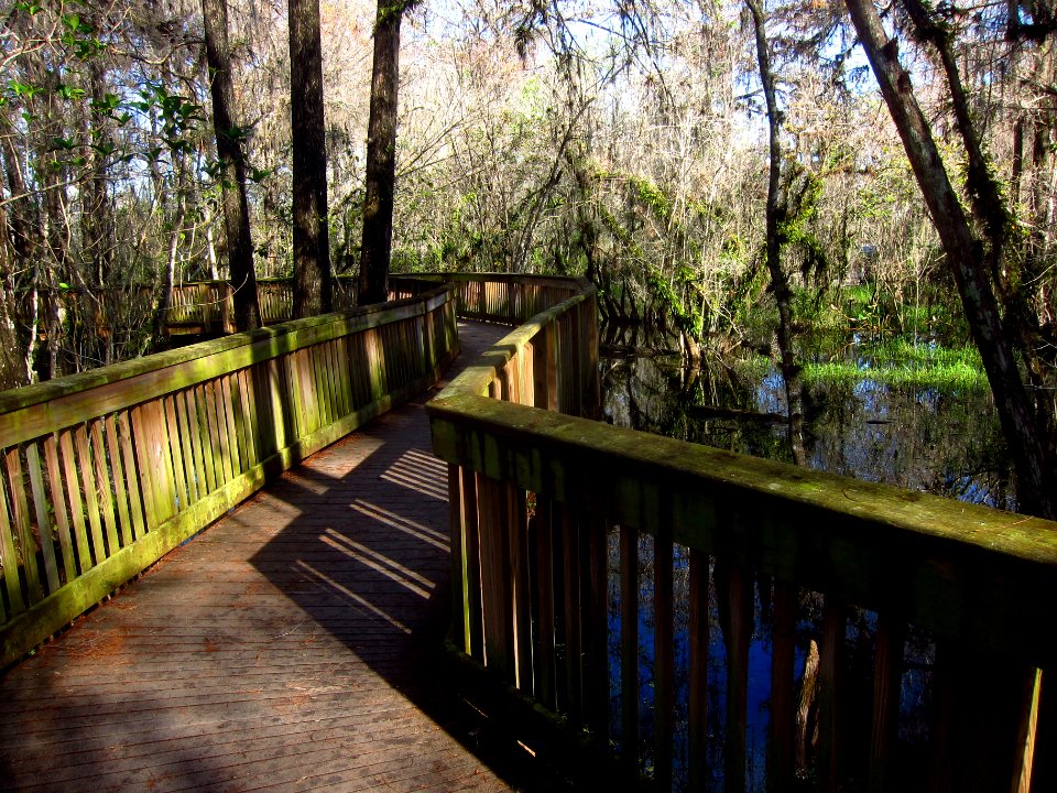 Kirby Storter boardwalk