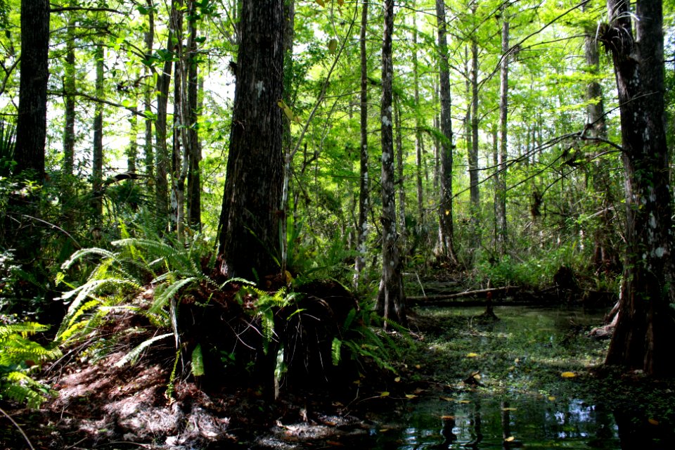 Robert's Lake Trail
