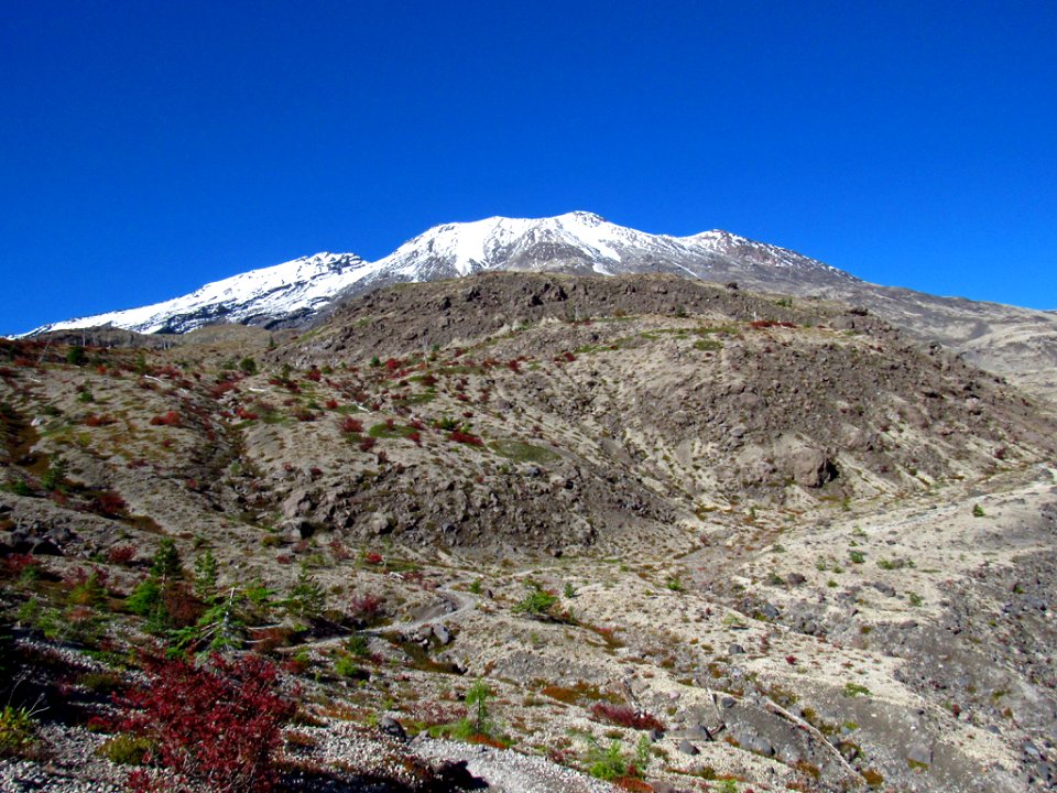 Ape Canyon Trail at Mt. St. Helens