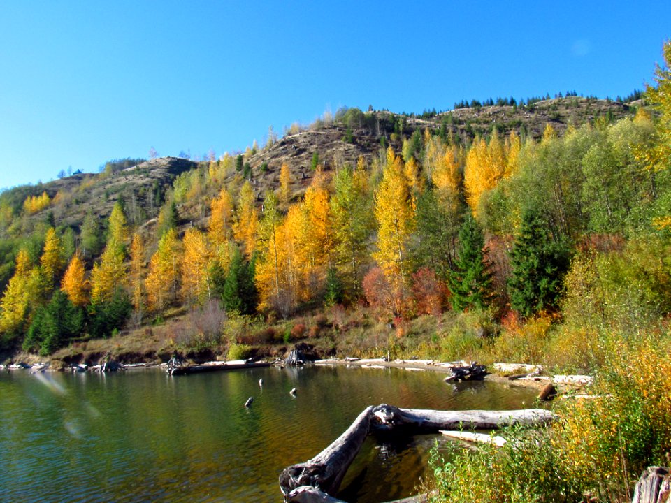 Coldwater Lake Trail at Mt. St. Helens