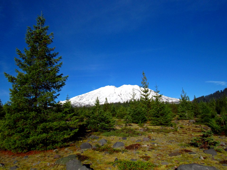 Lava Canyon Trail at Mt. St. Helens