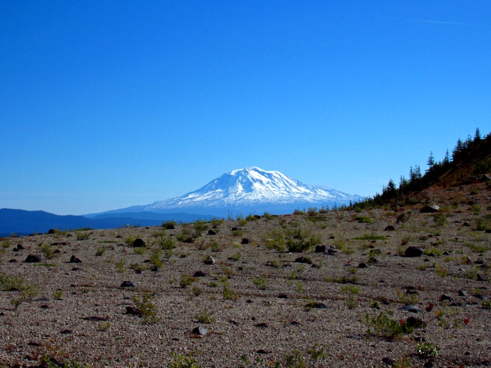 Plains of Abraham at Mt. St. Helens