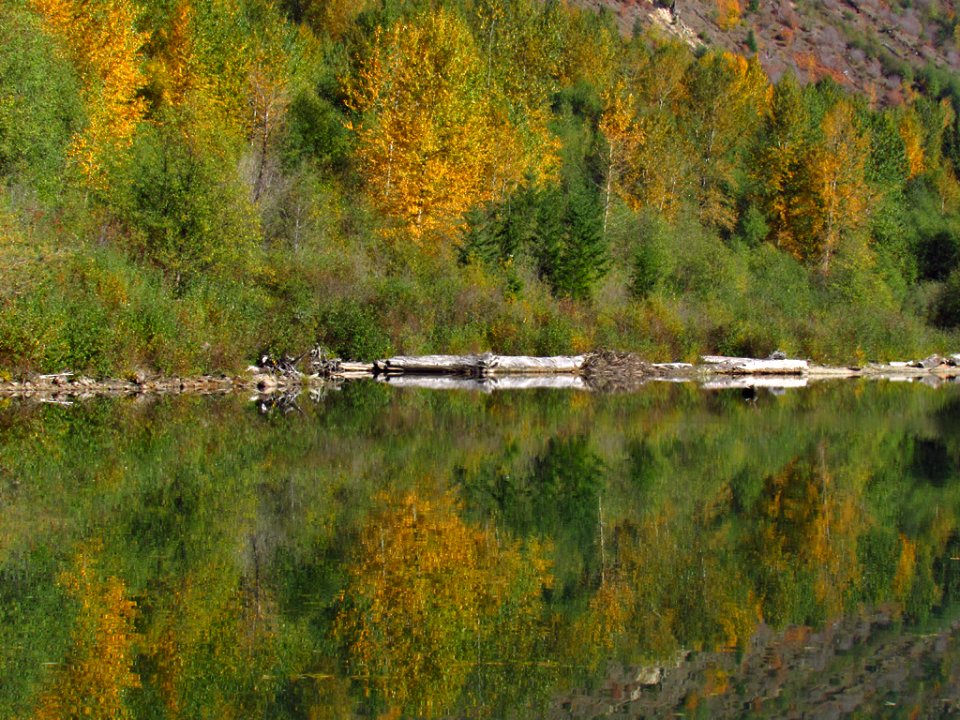 Coldwater Lake Trail at Mt. St. Helens