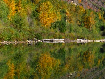 Coldwater Lake Trail at Mt. St. Helens