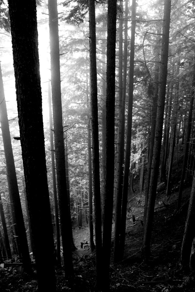 Grouse mountain