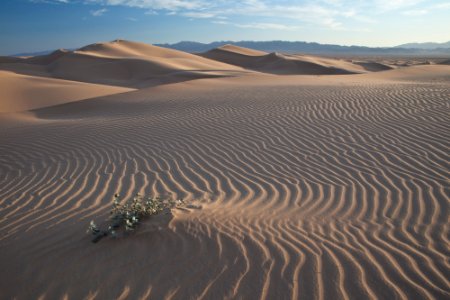 Cadiz Wilderness and Valley photo