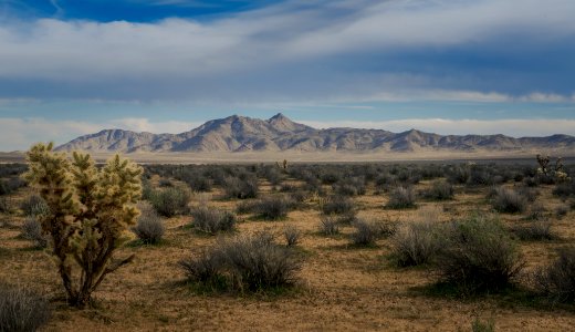 Grass Valley Wilderness photo