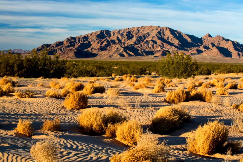 Cadiz Wilderness and Valley