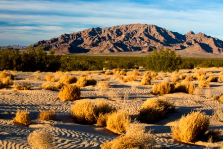 Cadiz Wilderness and Valley photo