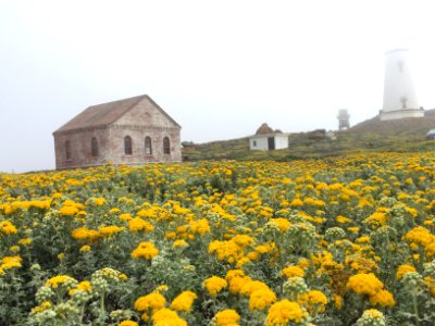 Piedras Blancas Light Station