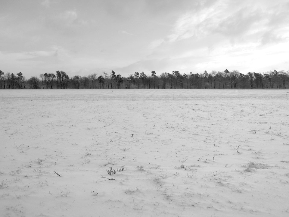Noch mehr Schnee I