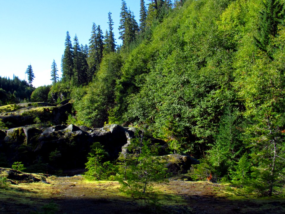 Lava Canyon Trail at Mt. St. Helens