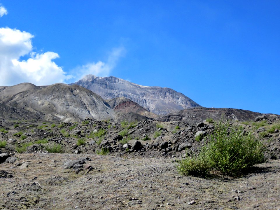 Truman / Loowit Trail at Mt. St. Helens NM in WA
