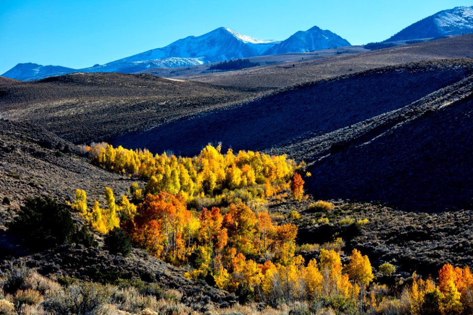 Fall Colors at Conway Summit ACEC