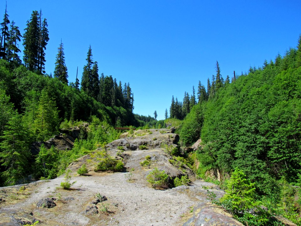 Lava Canyon Trail at Mt. St. Helens NM in WA