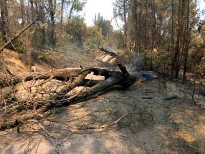 Mendocino Fire August 2018