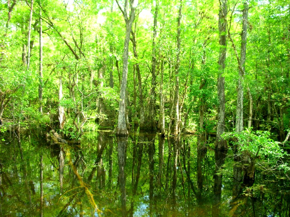 Sweetwater Strand