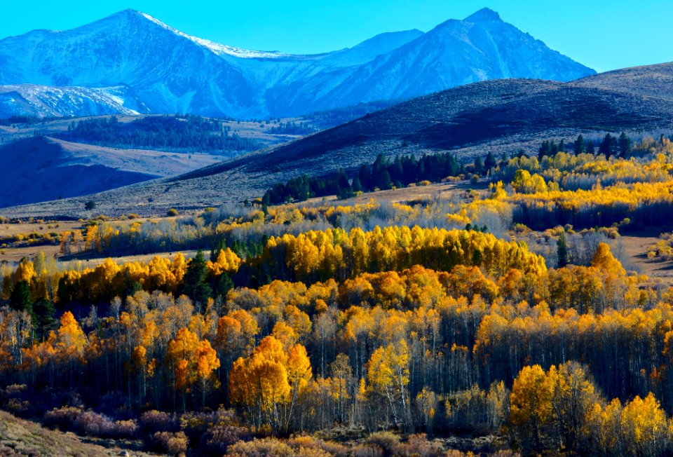 Fall Colors at Conway Summit ACEC