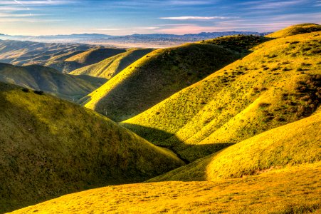 April 2019 Wildflowers at Carrizo Plain National Monument