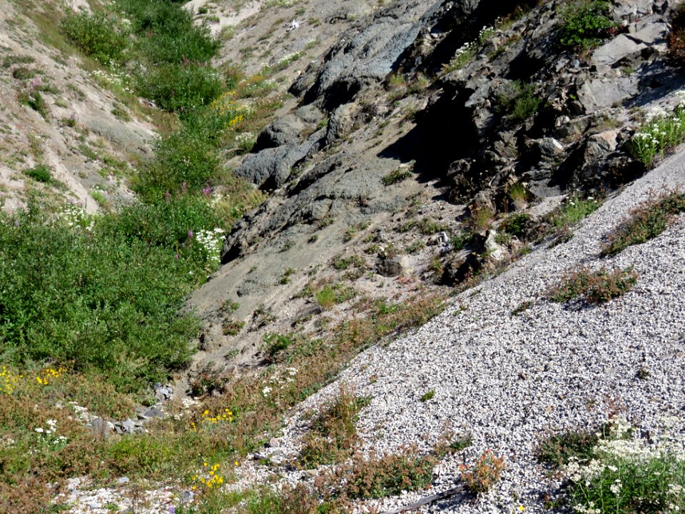 Truman / Loowit Trail at Mt. St. Helens NM in WA