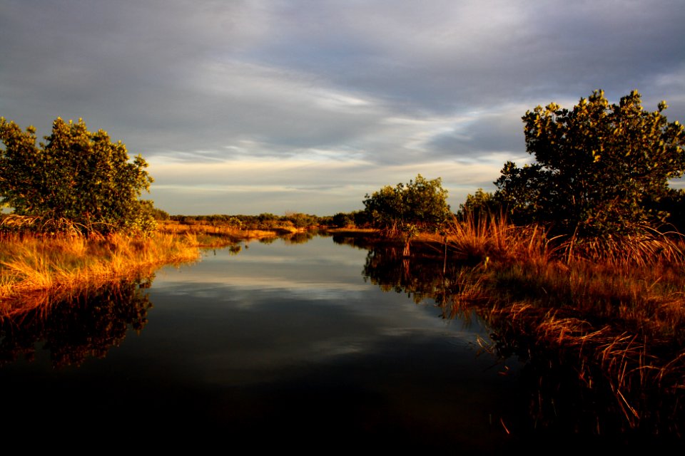 afternoon halfway creek marsh