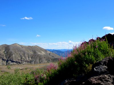 Truman / Loowit Trail at Mt. St. Helens NM in WA