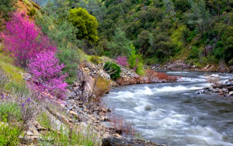 Merced Wild and Scenic River photo