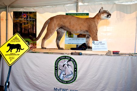 Florida Fish and Wildlife Conservation Commission display table alway draws attention